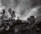 秋月   Moon, Autumn