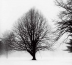 北安多弗 North Andover (8424 visits) 美国麻省北安多弗
North Andover, Massachusetts, USA
银盐纸基
Gelatin Silver Print 35.... 北安多弗 North Andover