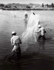 南生园  Nan Sheng Yuan