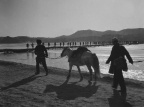 杜伦在冀中,冀中 Dolan in Central Hebei (16187 visits)
杜伦在冀中,冀中,1944年
Dolan in Central Hebei, 1944
艺术微喷
41cm×55cm
杜伦在冀中,冀中 Dolan in Central Hebei