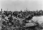 水上游击队,冀中 Water Guerrillas, Central Hebei (12733 visits)
水上游击队,冀中,1943年
Water Guerrillas, Central Hebei, 1943
明胶银盐
36.5cm... 水上游击队,冀中 Water Guerrillas, Central Hebei