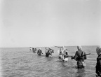 步涉于渤海海滨的洼地,冀中 Wading on an immersed lowland by the Bohai Sea, Central Hebei (10347 visits)
步涉于渤海海滨的洼地,冀中,1944年
Wading on an immersed lowland by the Bohai Sea... 步涉于渤海海滨的洼地,冀中 Wading on an immersed lowland by the Bohai Sea, Central Hebei
