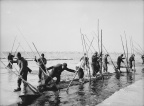 白洋淀冬季捕鱼，冀中 Winter fishing at Baiyangdian Lake, Central Hebei