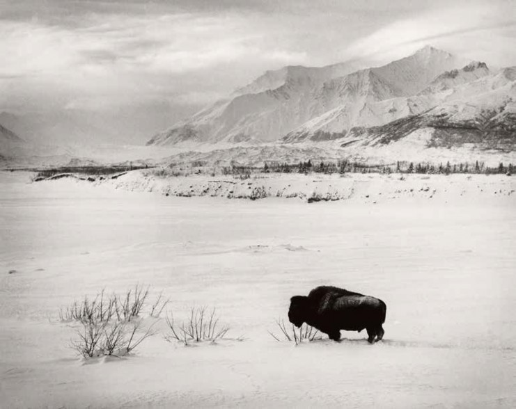 山水清音 Peace and Purity in Landscapes
